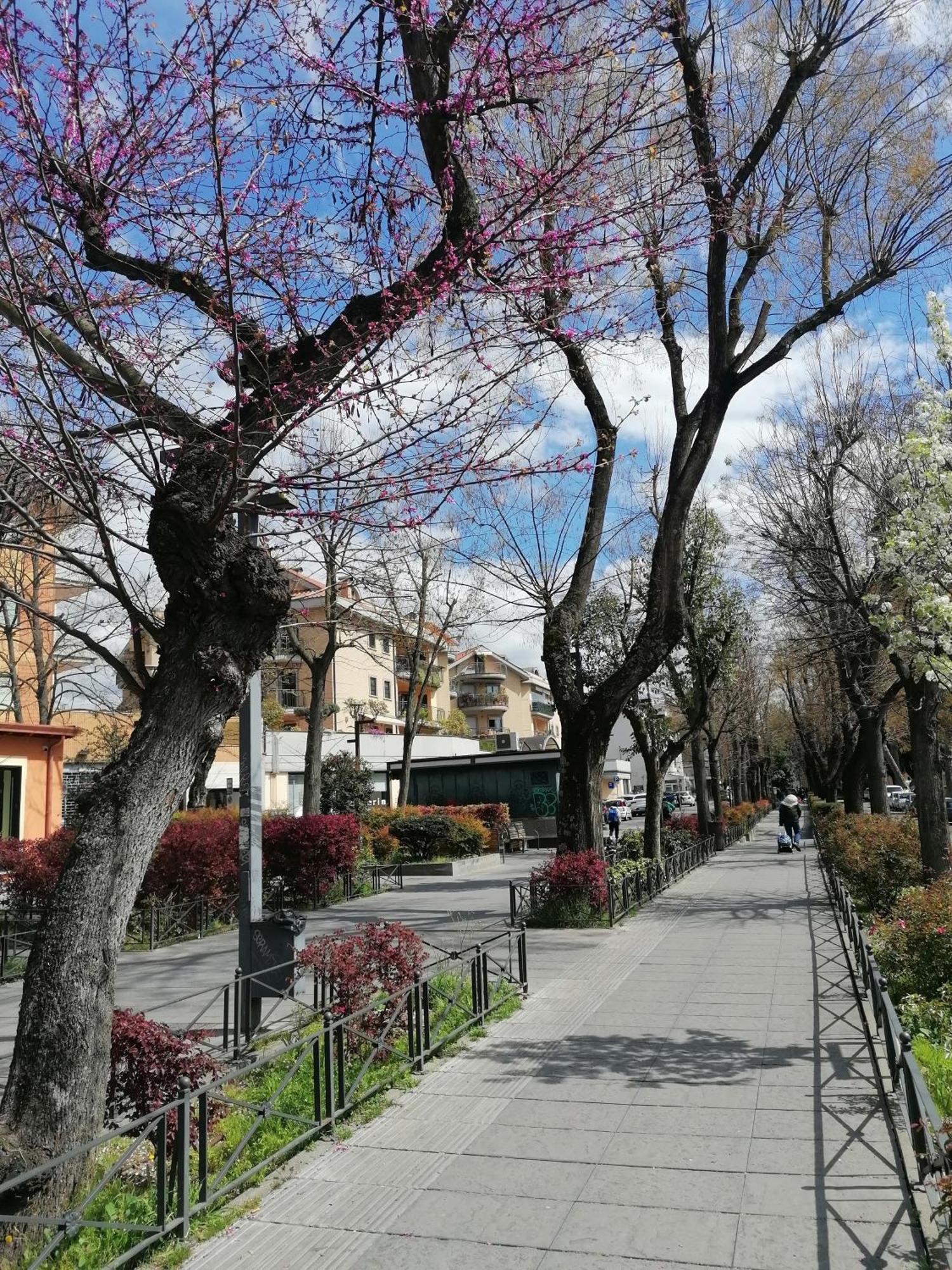 La Passeggiata Apartamento Monterotondo  Exterior foto